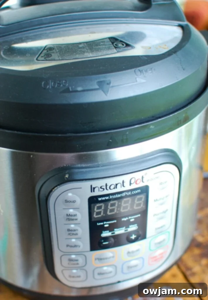 Instant Pot Chili Mac 4 Side view of an Instant Pot with its lid, ready for pressure cooking.