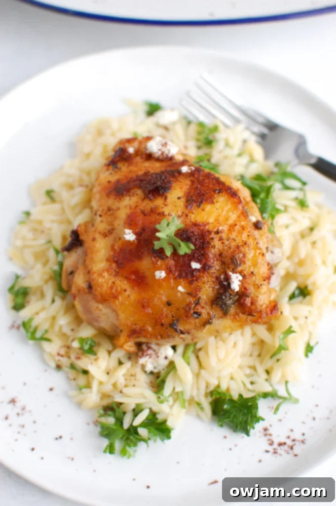 Mediterranean Chicken with parsley.