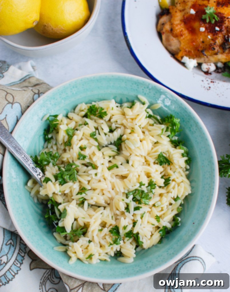 Mediterranean Chicken with Lemon Parsley Orzo