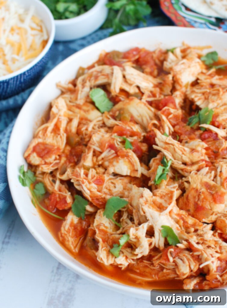 Effortless Instant Pot Shredded Chicken 4 Easy Instant Pot Shredded Chicken with salsa