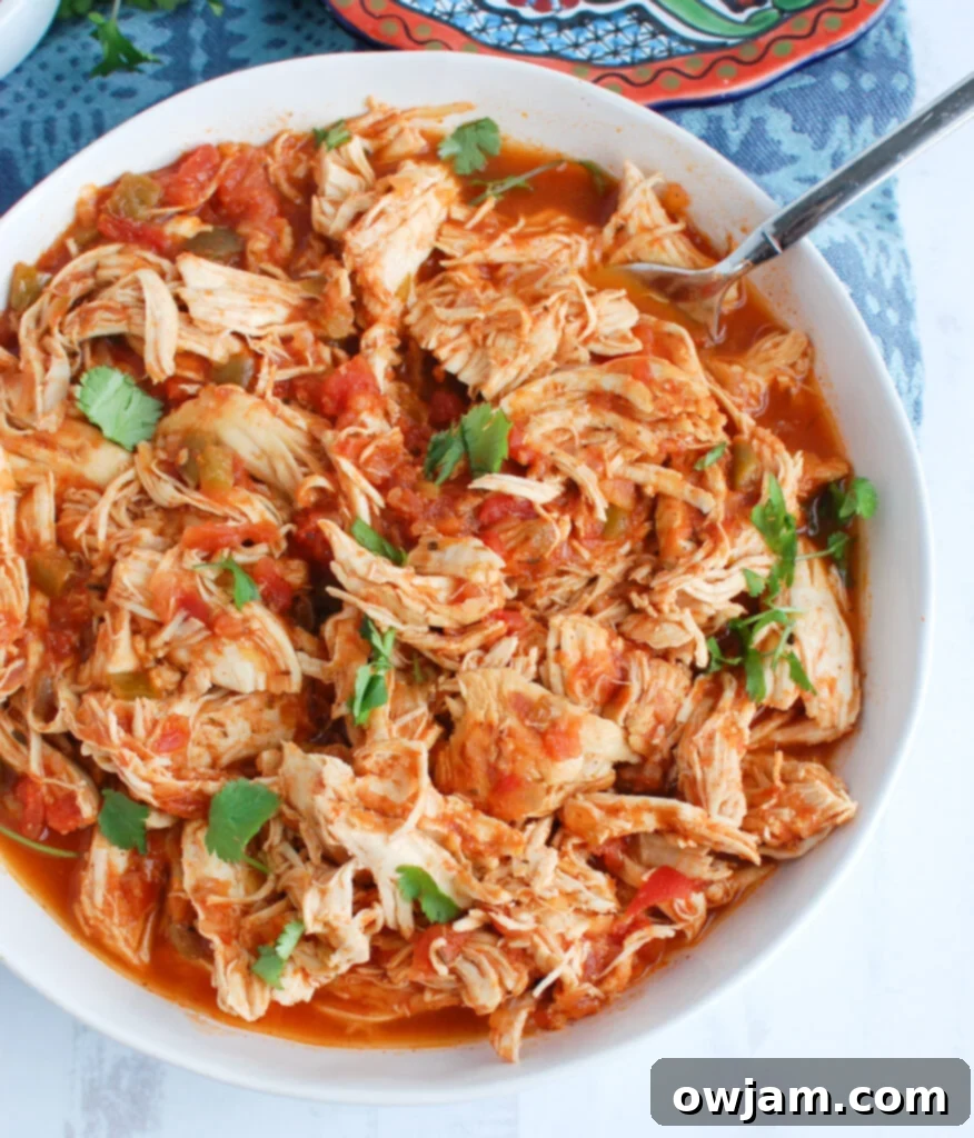 Effortless Instant Pot Shredded Chicken 5 Easy Instant Pot Shredded Chicken with spoon