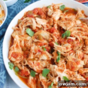 Effortless Instant Pot Shredded Chicken 6 Easy Instant Pot Shredded Chicken with cilantro