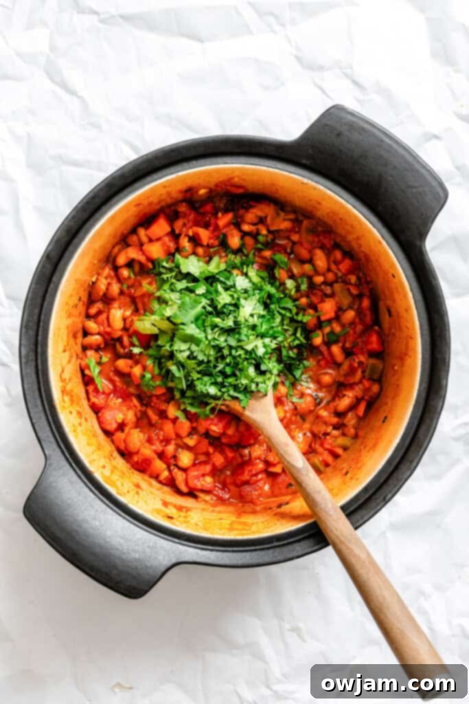 Hearty Homemade Veggie Chili 8 Homemade Vegetarian Chili Recipe with cilantro