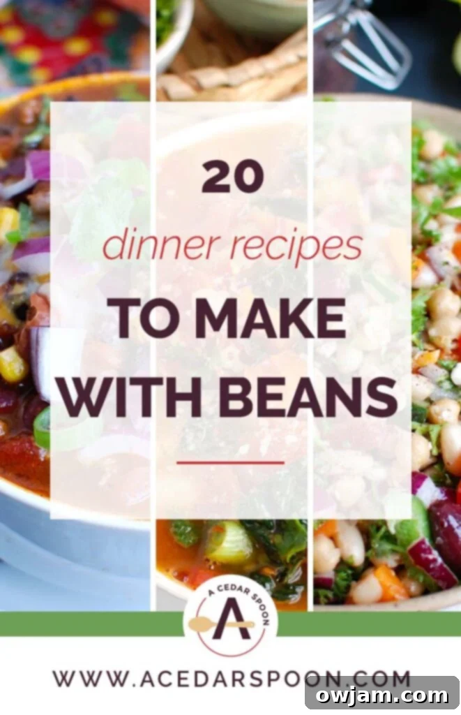 20 Canned Bean Dinners: Quick & Tasty 2 20 Dinner Recipes to Make with Beans collage