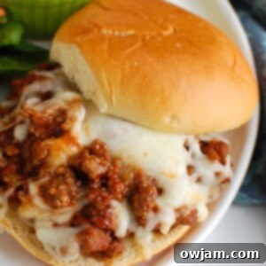Quick and Easy Sloppy Joes 6 How to Make Sloppy Joes 1200 x 1200