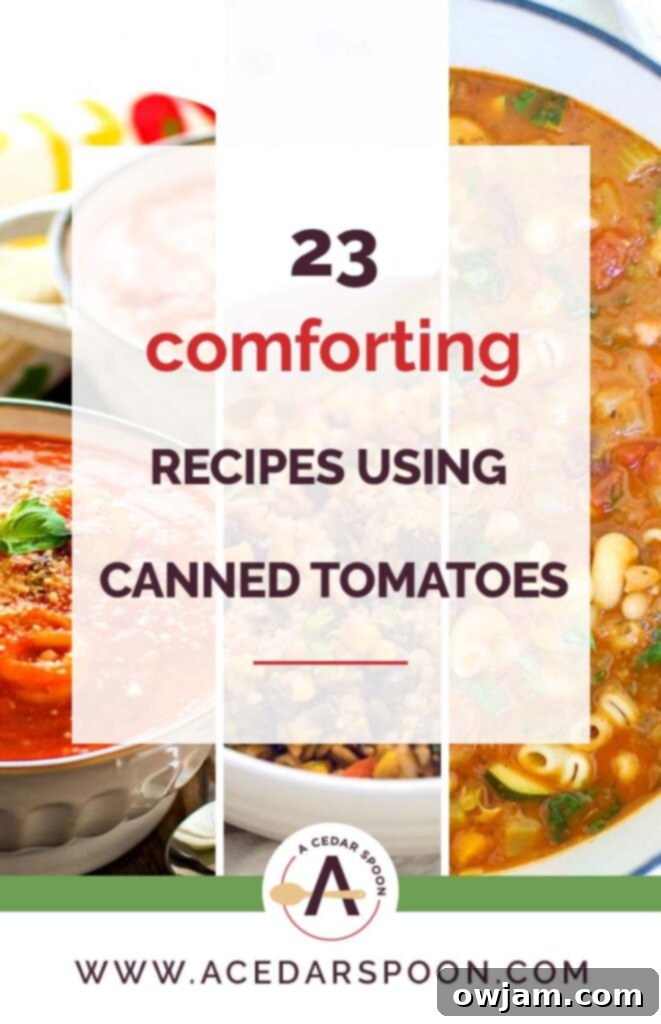 23 Soul-Soothing Meals with Canned Tomatoes 2 23 Comforting Recipes Using Canned Tomatoes Collage