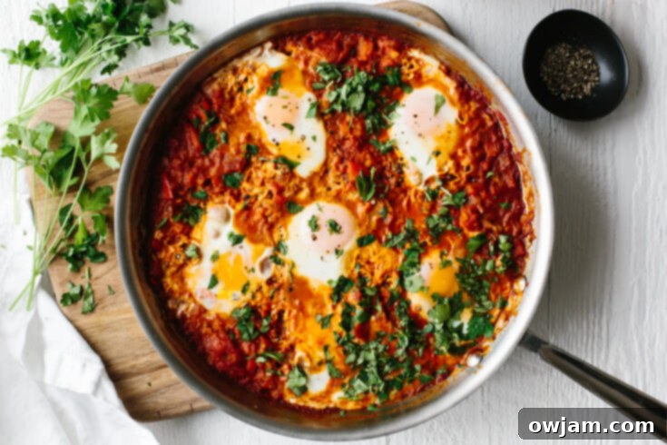 Best Shakshuka Recipe