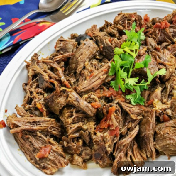Instant Pot Mexican Pot Roast
