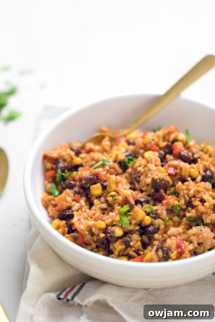 Vegan Instant Pot Tex-Mex Rice