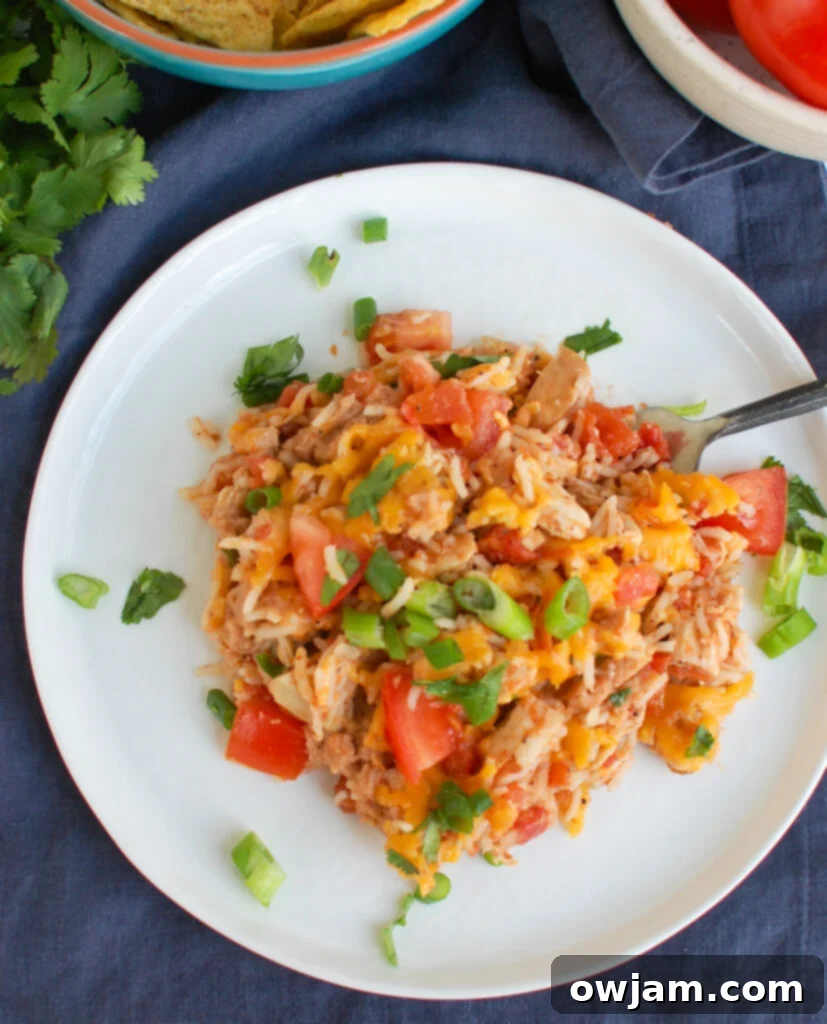 Mexican Chicken Casserole on a white plate 