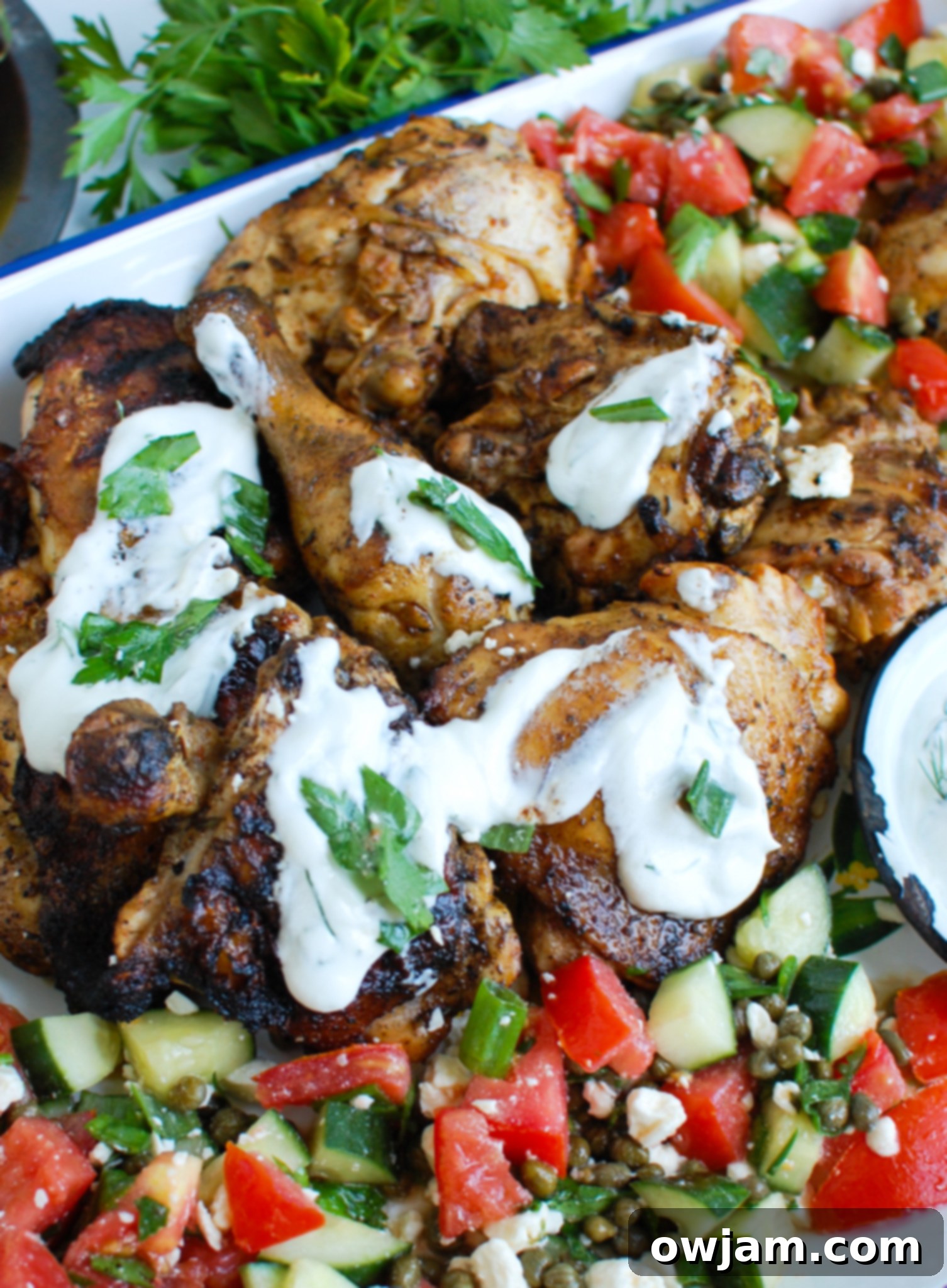 Zesty Greek Chicken with Cool Tzatziki 5 Greek Marinated Chicken with Tzatziki Sauce with yogurt on chicken, close up