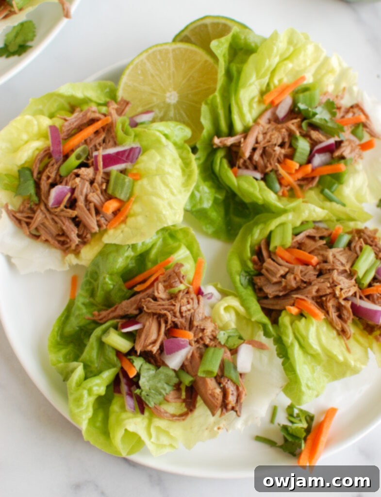 Plated Slow Cooker Beef Brisket, garnished with fresh herbs and lime wedges
