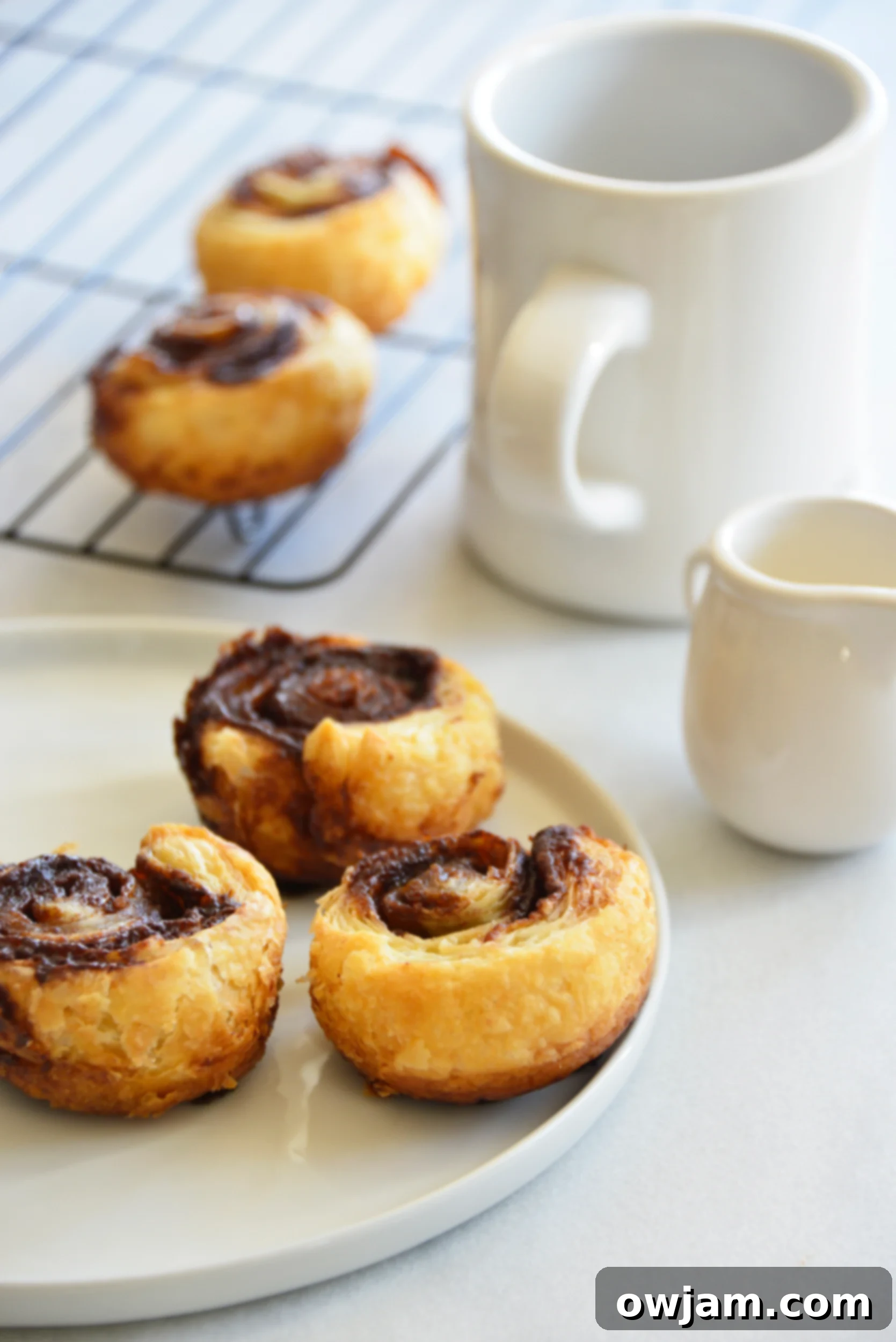 Deliciously Simple Puff Pastry Cinnamon Swirls 3 A perfectly baked Easy Puff Pastry Cinnamon Swirl on a pristine white plate, ready to be enjoyed with coffee.