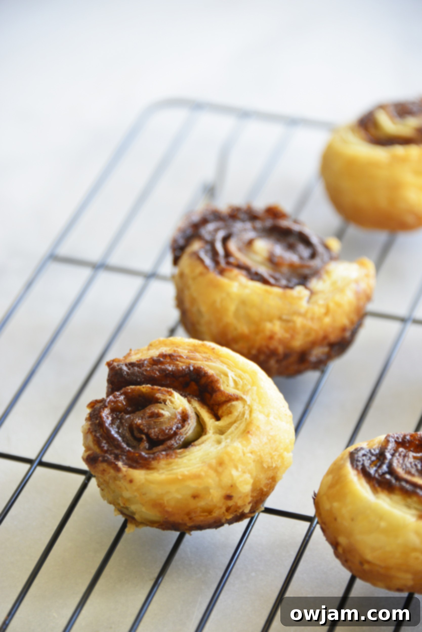 Deliciously Simple Puff Pastry Cinnamon Swirls 5 Unbaked Easy Puff Pastry Cinnamon Swirls arranged neatly in a muffin tin, ready for the oven.