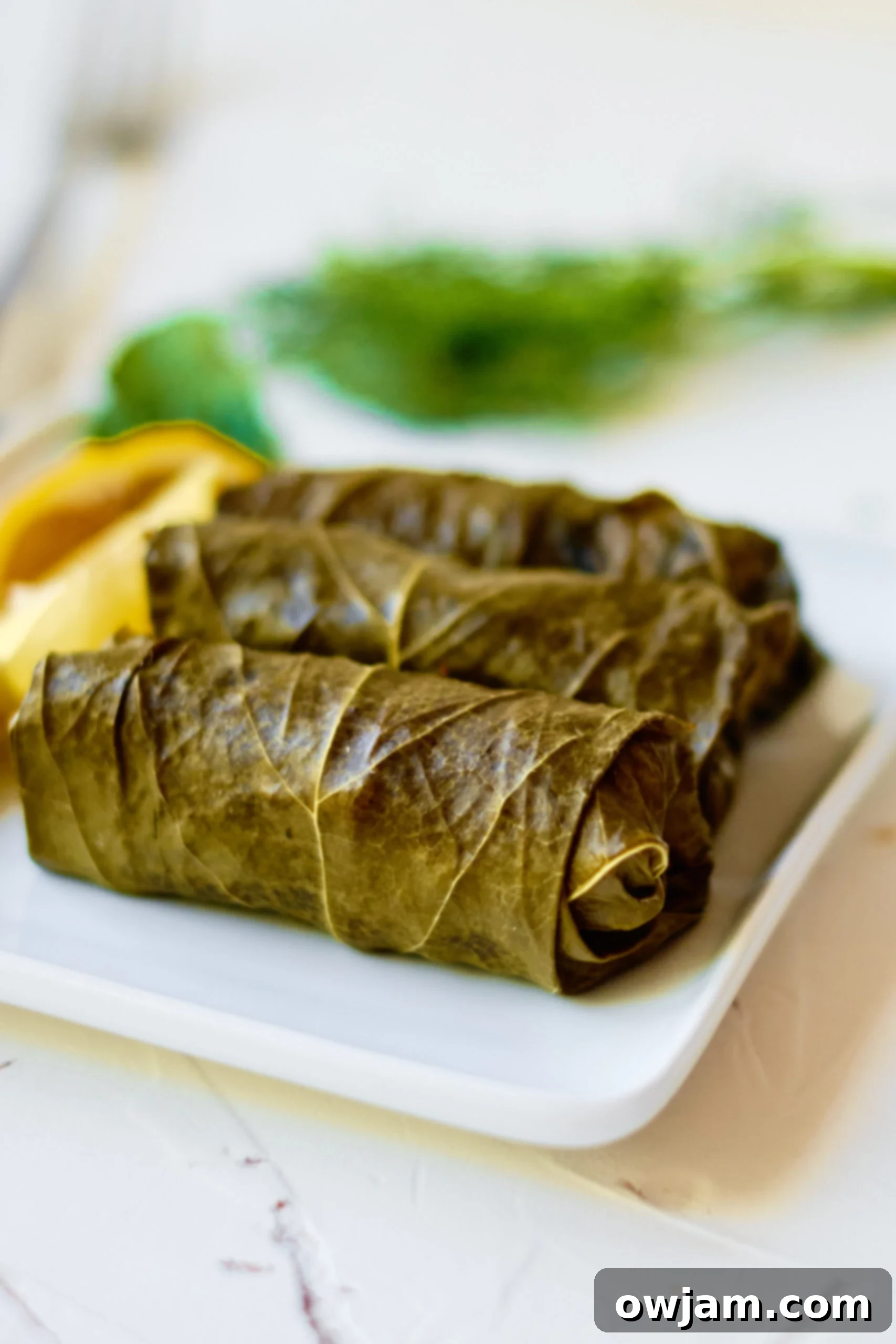 Stuffed Grape Leaves on white plate