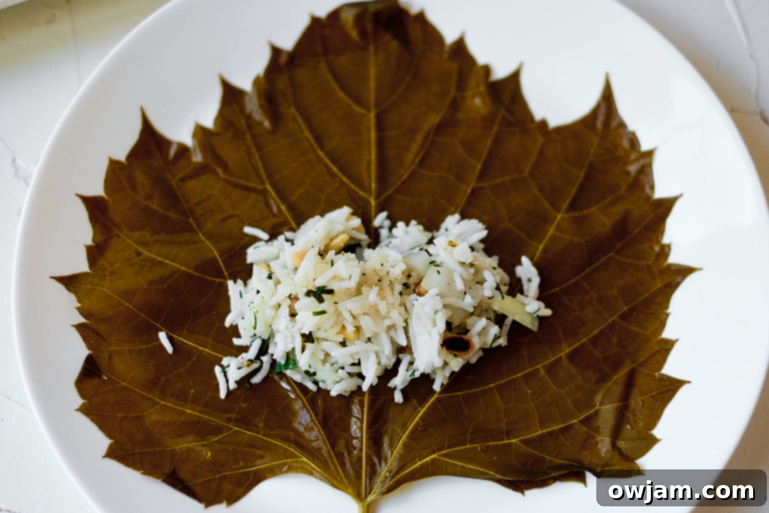 Stuffed Grape Leaves Step 2
