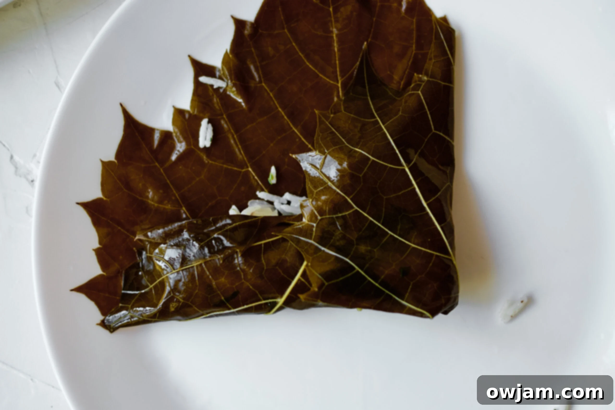 Stuffed Grape Leaves Step 3