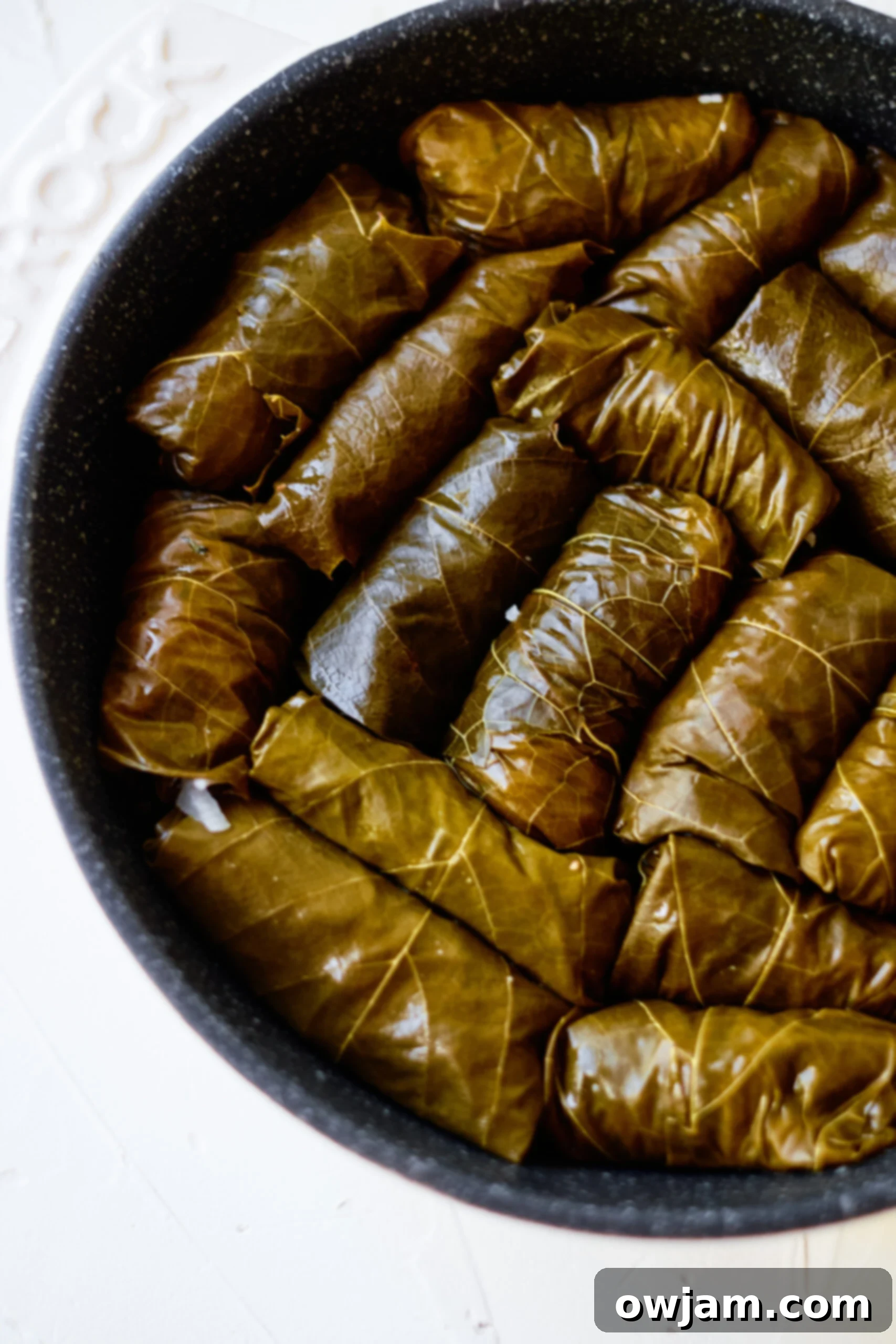 Stuffed Grape Leaves in Pot