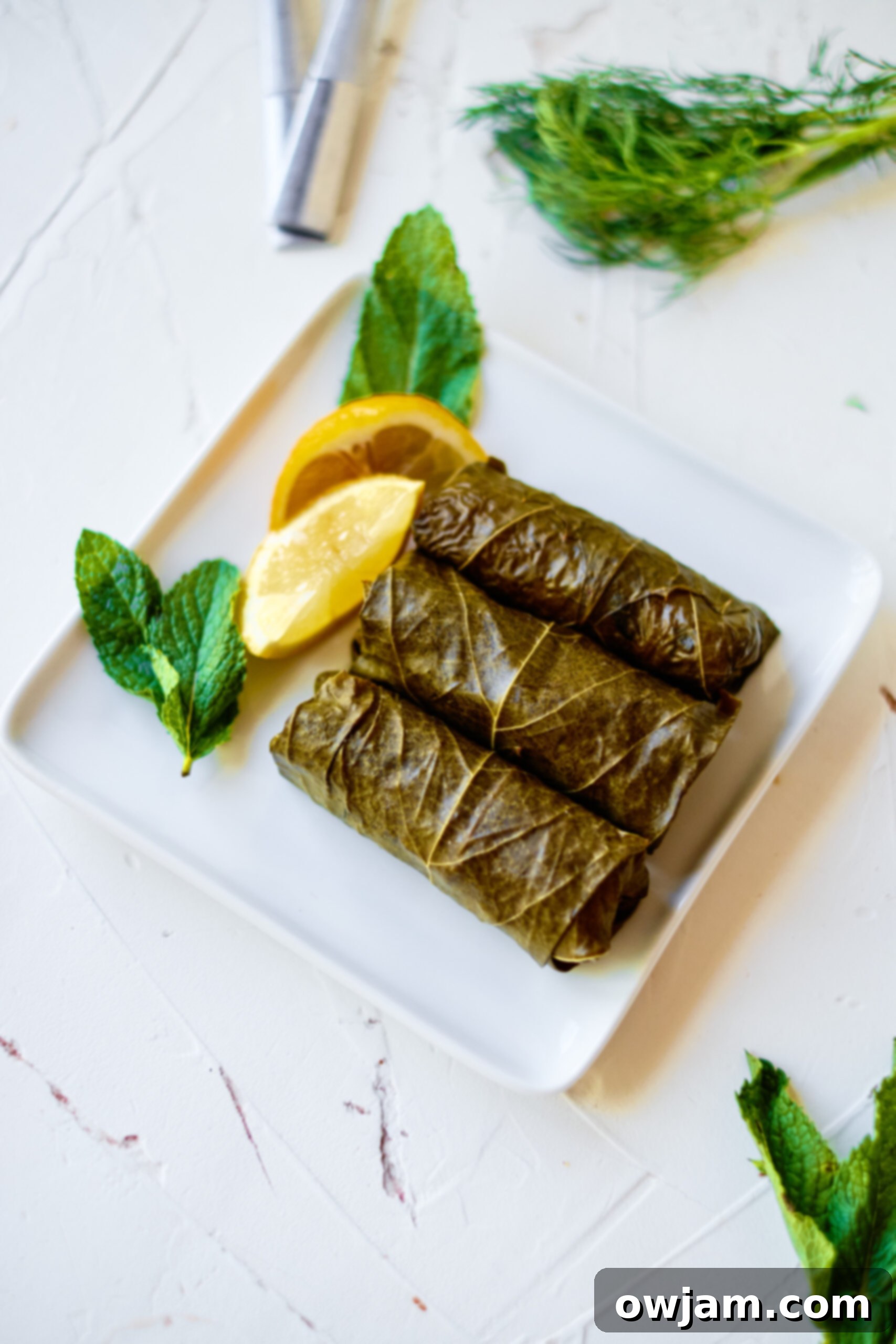 Stuffed Grape Leaves with lemon