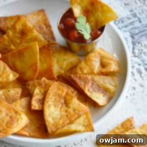 A small stack of baked tortilla chips, ready for serving.