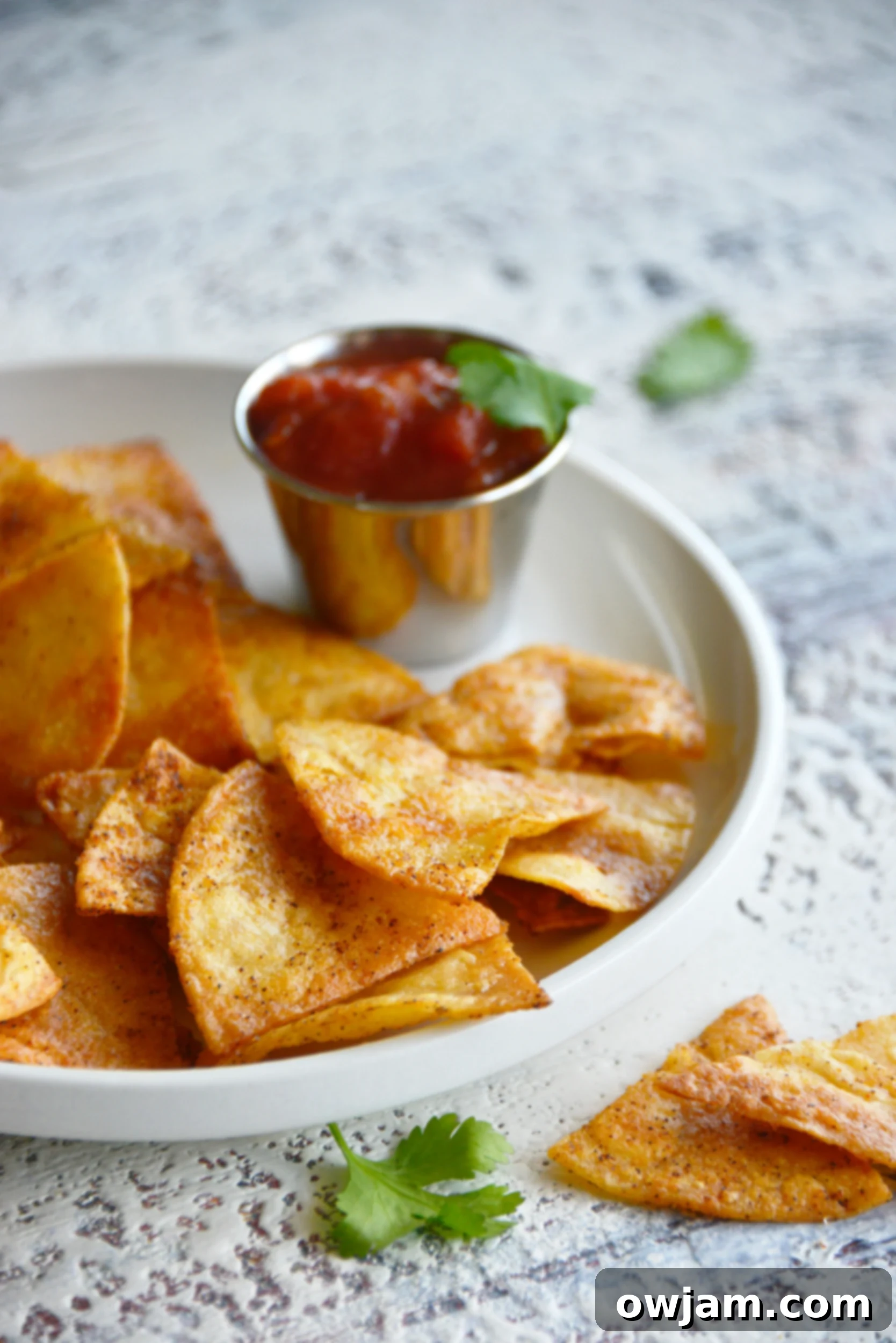A serving of freshly baked homemade tortilla chips on a clean white plate, ready to be enjoyed.