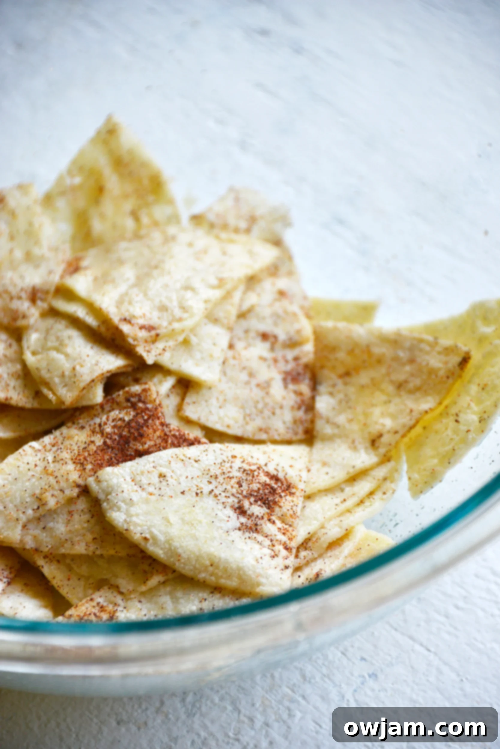 Tortilla wedges generously coated with a savory spice blend in a mixing bowl.