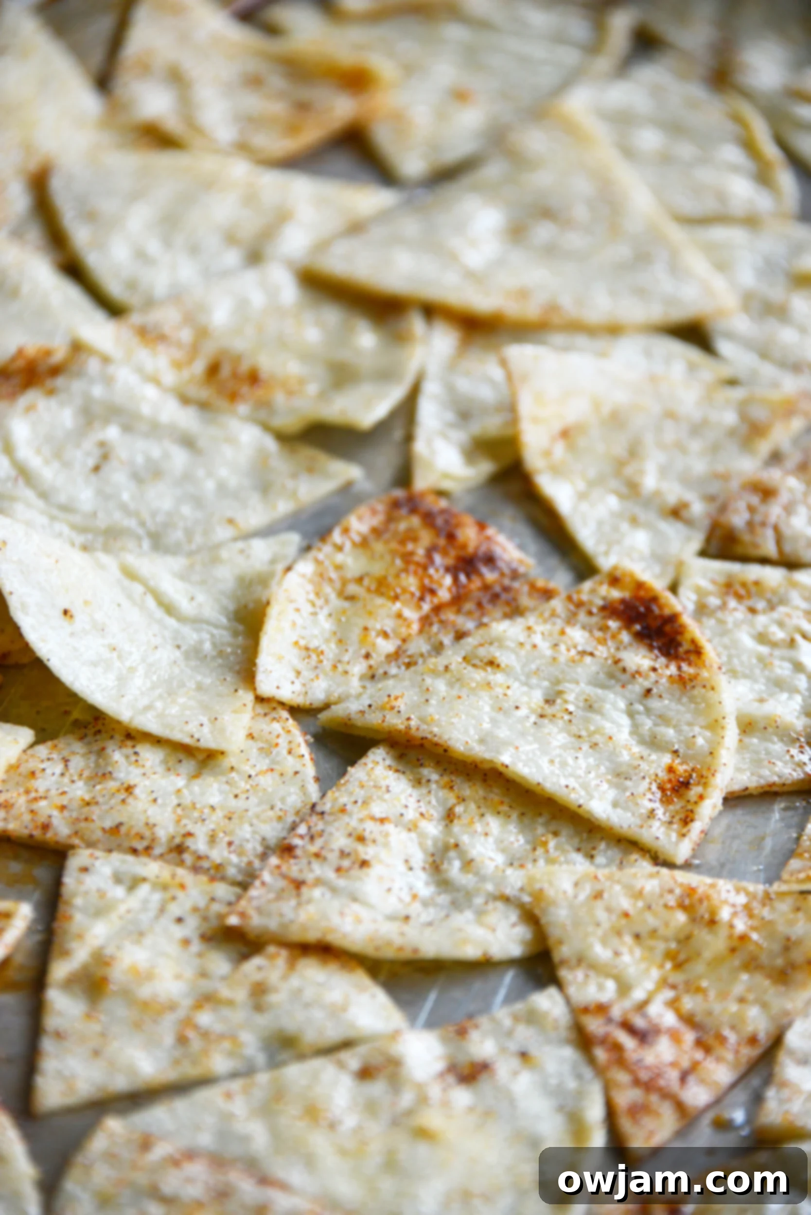 Seasoned tortilla wedges neatly arranged in a single layer on a baking sheet, ready for the oven.