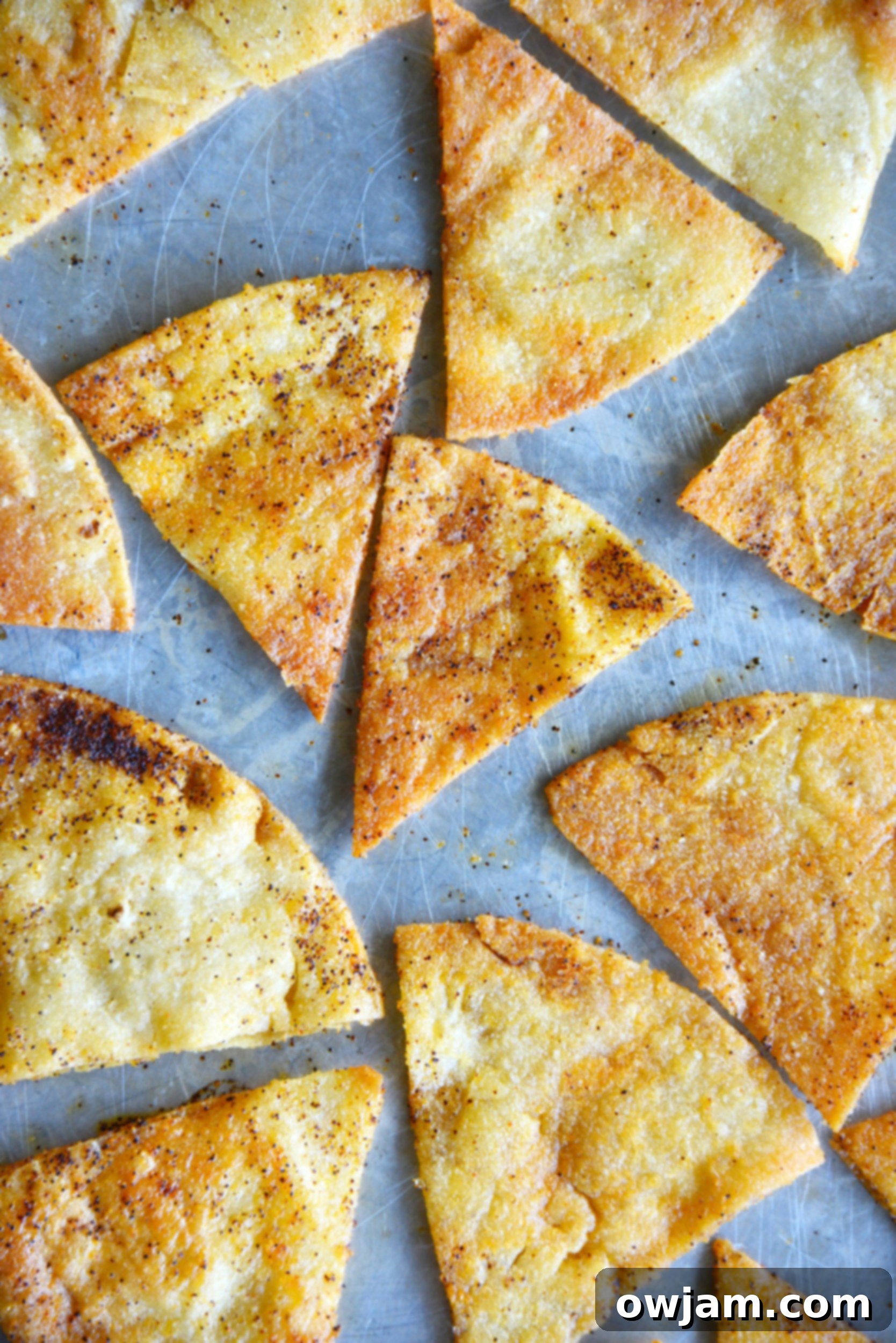 Freshly baked, golden brown tortilla chips cooling on a baking sheet, showcasing their crisp texture.