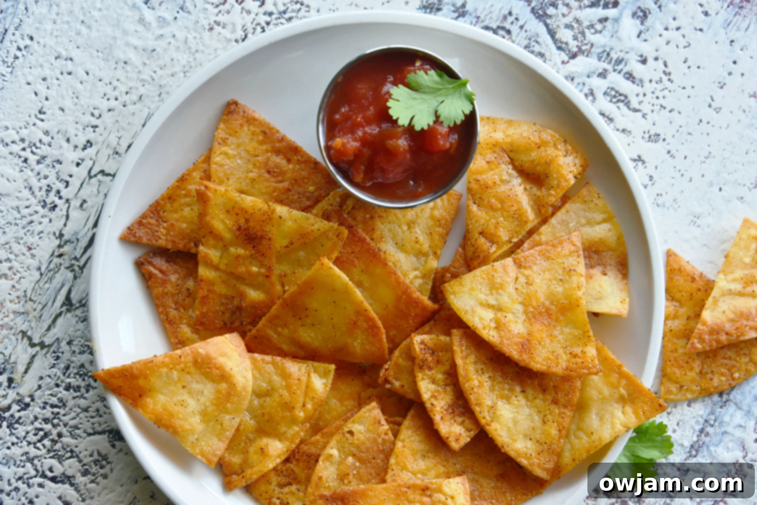 A close-up of homemade baked tortilla chips piled high on a white plate with a bowl of red salsa, inviting you to dip.
