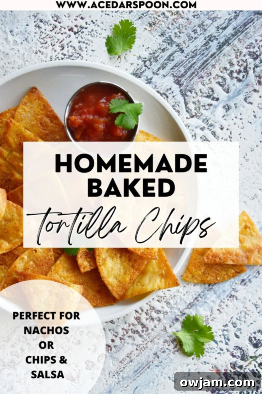 A spread of homemade baked tortilla chips with various dips, showcasing their versatility, with a brand logo in the corner.