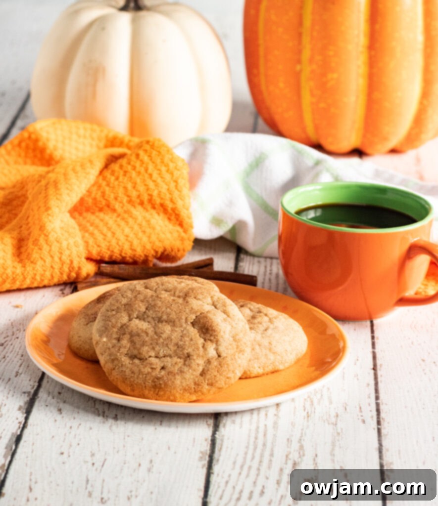 Autumn Snickerdoodles 4 Two Pumpkin Snickerdoodles next to a steaming cup of coffee, perfect for a cozy fall morning.