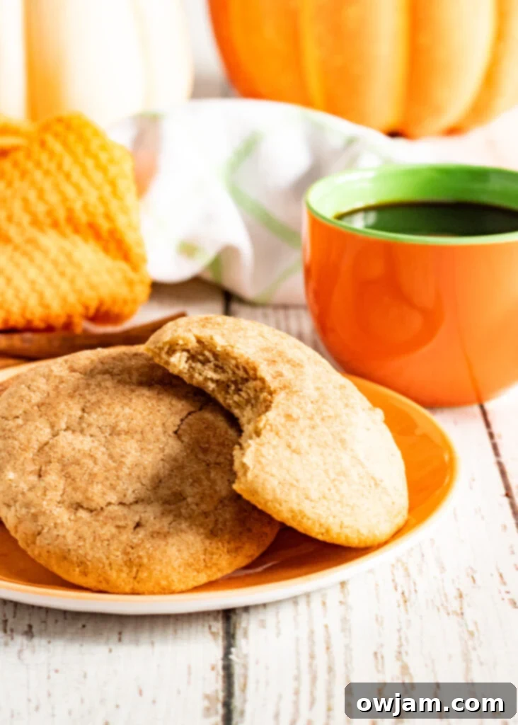 Autumn Snickerdoodles 5 Pumpkin Snickerdoodles artfully arranged on an orange plate, ready to be enjoyed as a festive fall snack.