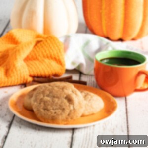 Autumn Snickerdoodles 7 Pumpkin Snickerdoodles served with a cup of coffee