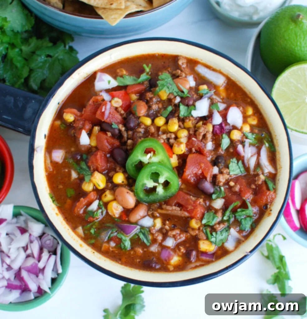 Easy Pork Chili above with ingredients