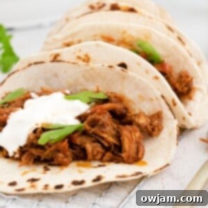 Instant Pot Carnitas Recipe 1200 x 1200