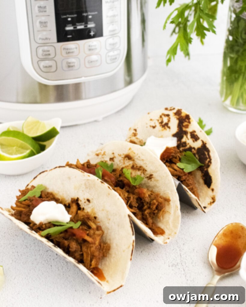 Instant Pot Carnitas Recipe near Instant Pot 