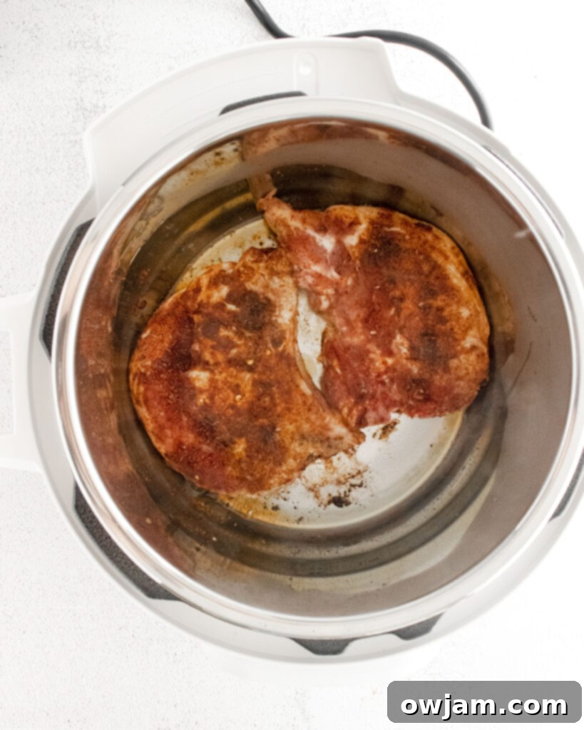 Instant Pot Carnitas Recipe pork chops in instant pot 