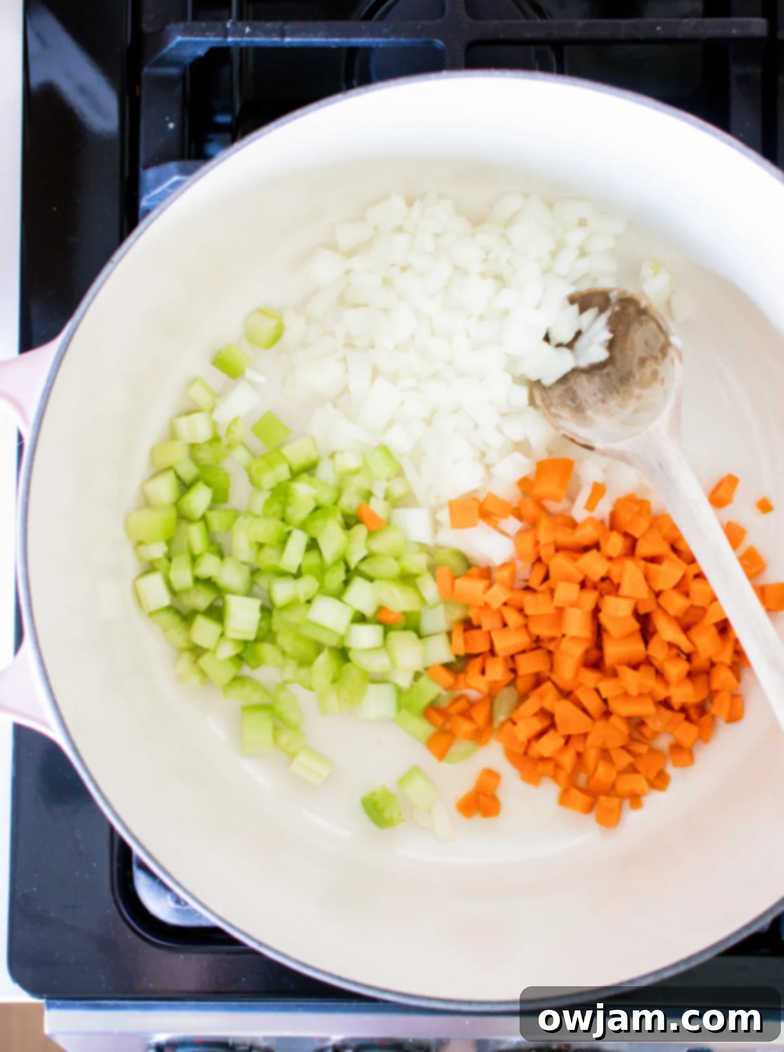 Effortless Vegetable Bean Soup 5 Easy Vegetable Bean Soup Recipe vegetables sautéing in a dutch oven