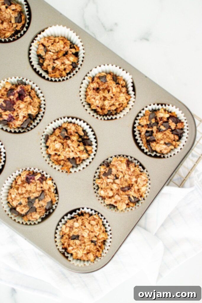 Wholesome Banana Oat Wonders 3 Golden brown Banana Oatmeal Muffins baked in a muffin tin, ready to be enjoyed.