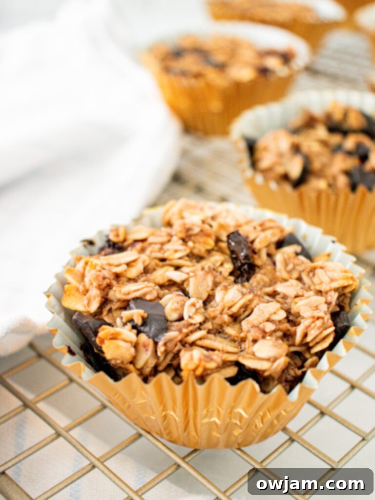 Wholesome Banana Oat Wonders 6 A single Banana Oatmeal Muffin presented in a gold foil liner, highlighting its appetizing look.