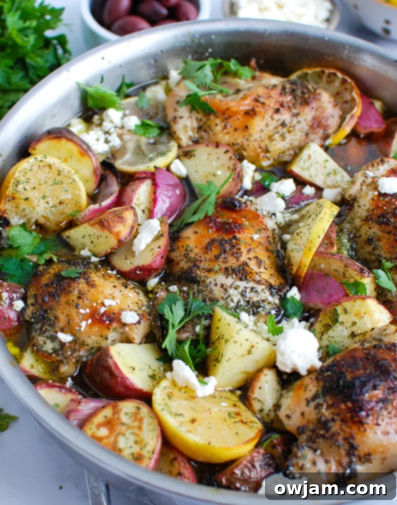Tangy Mediterranean Lemon Chicken 2 Greek Lemon Chicken in a skillet