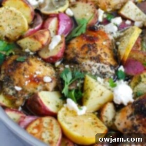 Tangy Mediterranean Lemon Chicken 8 img 36762 11