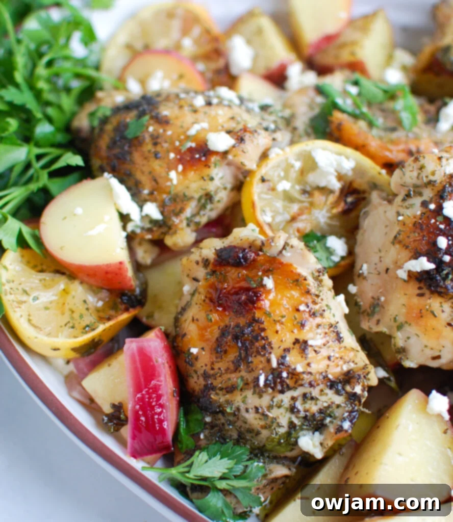Tangy Mediterranean Lemon Chicken 3 Greek Lemon Chicken on a dish