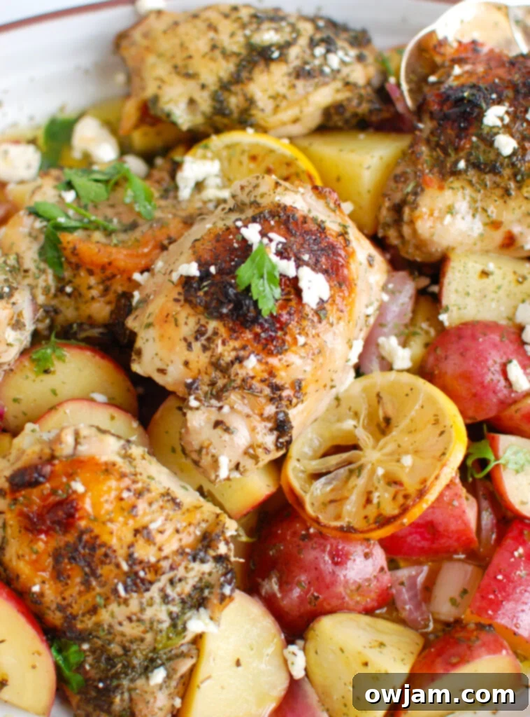 Tangy Mediterranean Lemon Chicken 4 Greek Lemon Chicken close-up