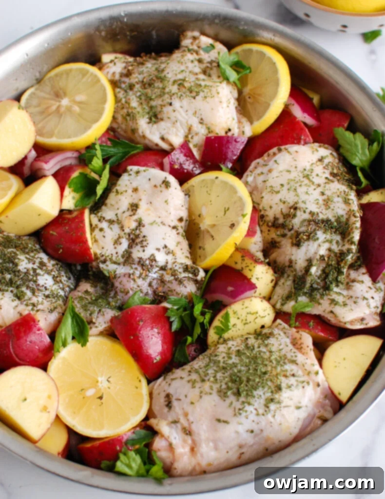 Tangy Mediterranean Lemon Chicken 5 Greek Lemon Chicken raw chicken