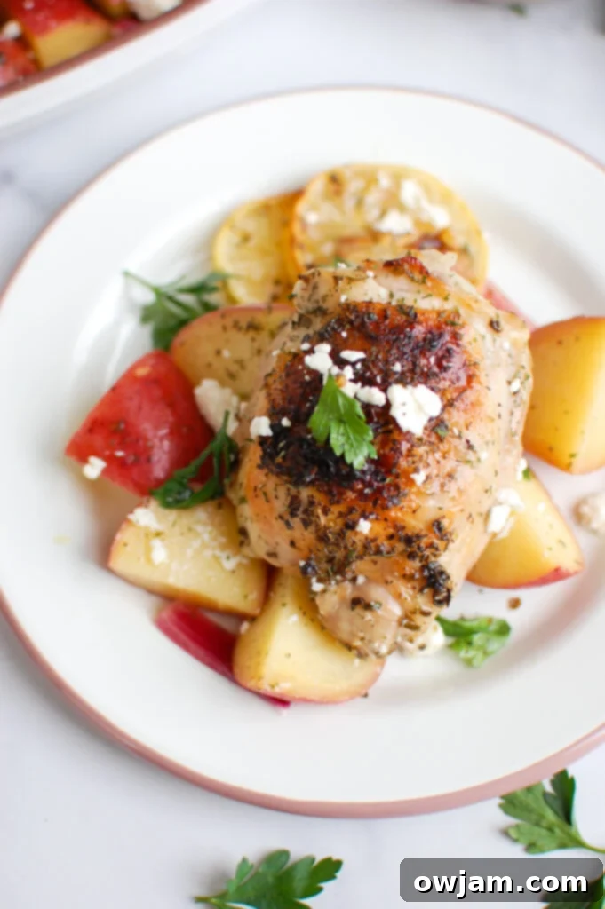 Tangy Mediterranean Lemon Chicken 6 Greek Lemon Chicken on plate