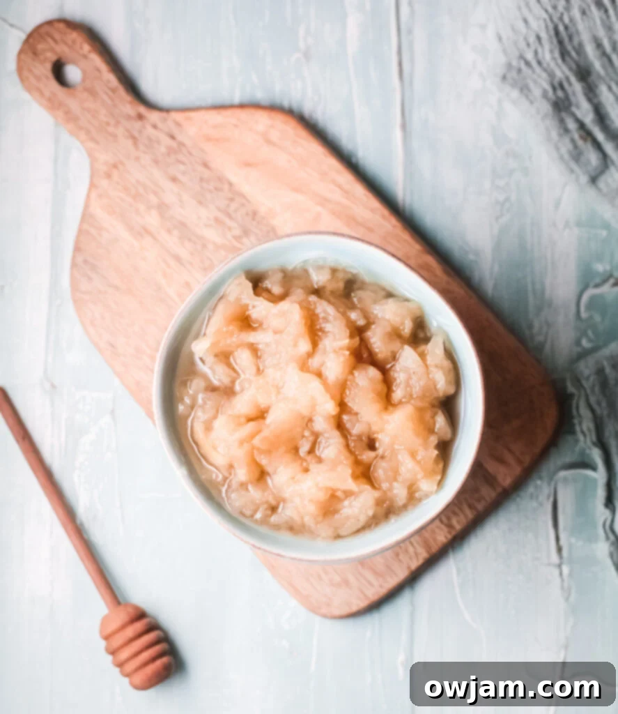 Effortless Instant Pot Applesauce 3 Instant Pot Applesauce served in a bowl, seen from above.