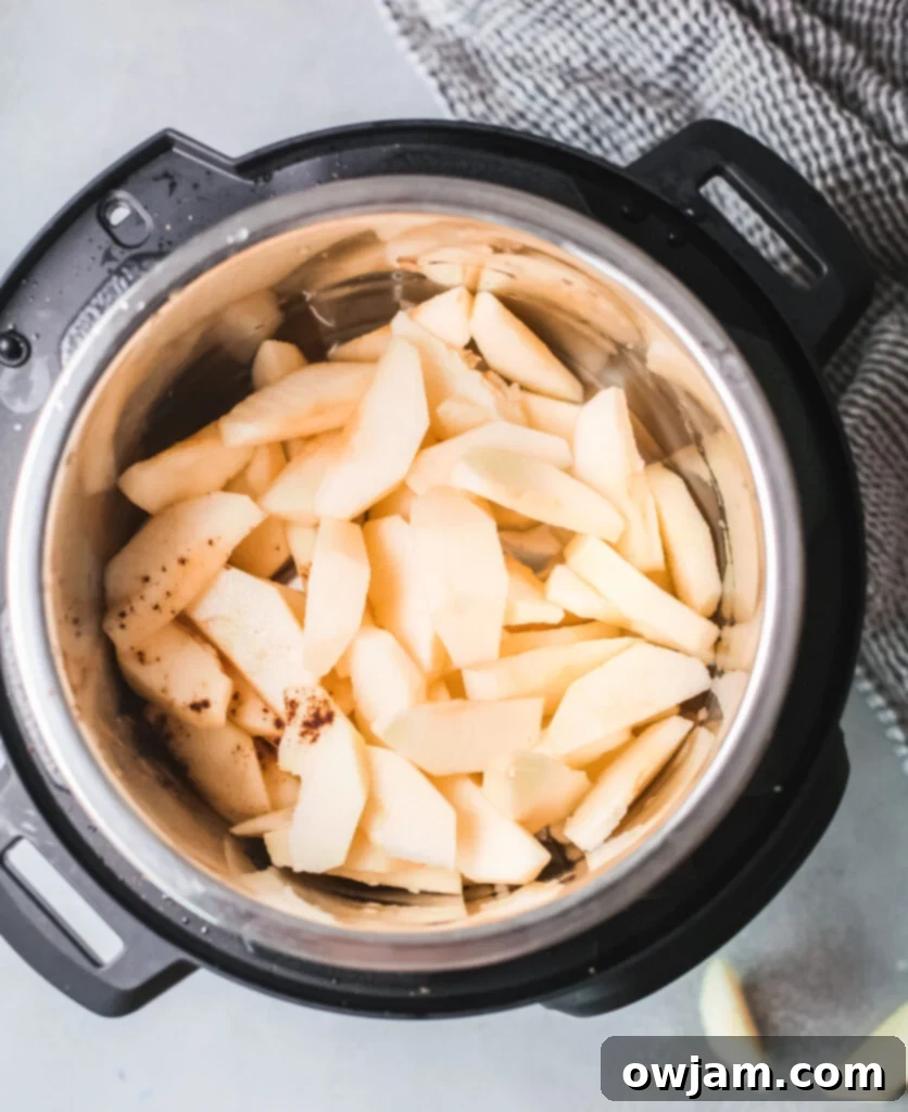 Effortless Instant Pot Applesauce 5 Instant Pot Applesauce ingredients in pressure cooker.