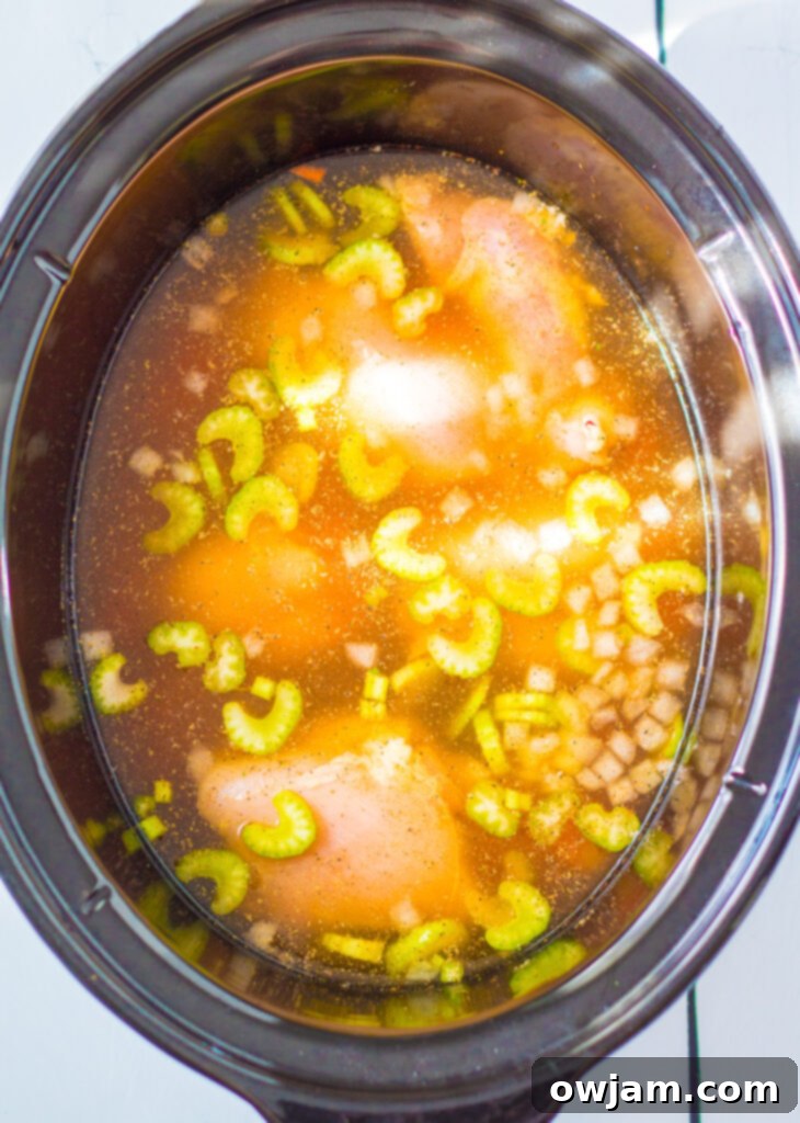 Hearty Chicken Tortellini Delight 5 Chicken thighs and vegetables simmering in chicken broth inside a slow cooker, ready for shredding.