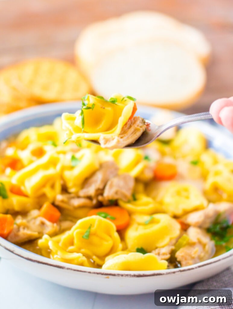 Hearty Chicken Tortellini Delight 7 A close-up of Chicken Tortellini Soup in a bowl with a spoon, garnished with parsley.